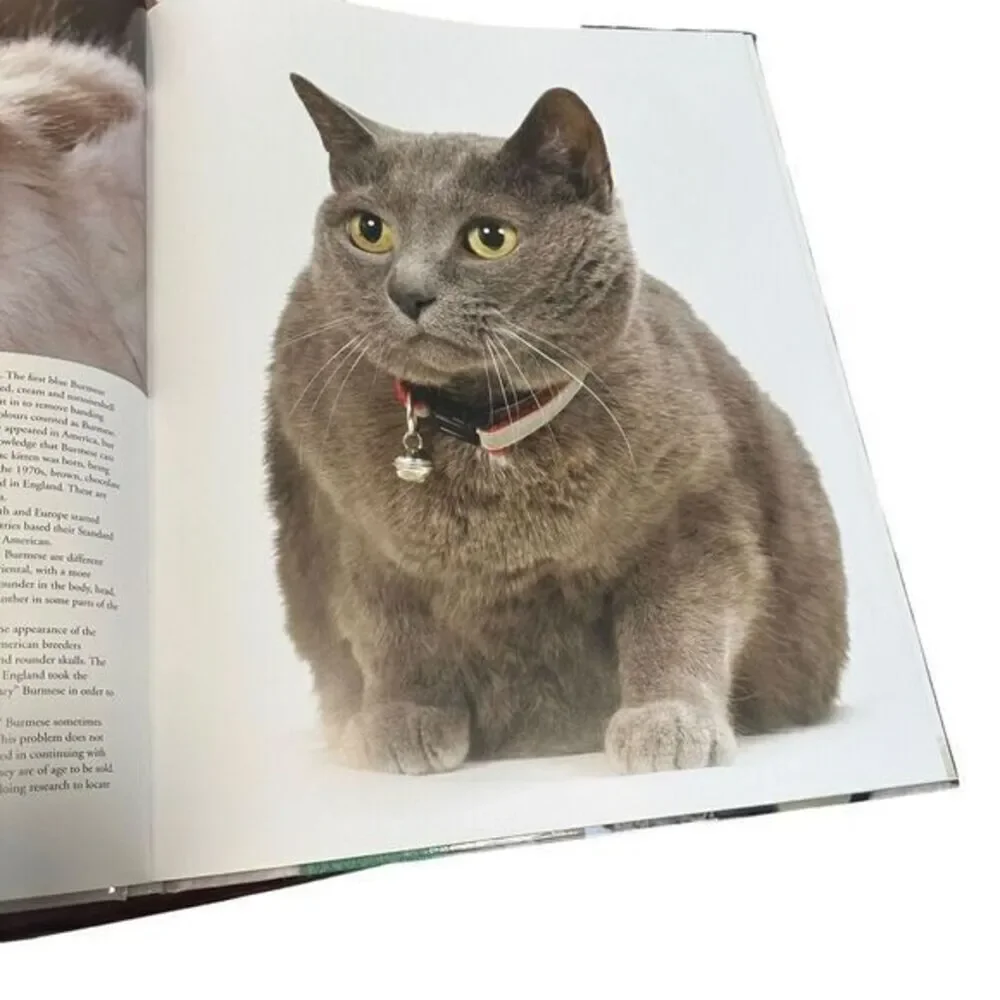 N/A interior book